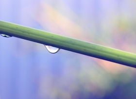 ACQUA PREZIOSA, FONTE DI VITA - Dott. Paolo Queirazza 